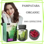 Ling Zhi Chuang Yao Wan – 50 Capsules | Premium Reishi Mushroom Herbal Supplement for Immunity, Vitality & Overall Wellness - Image 3