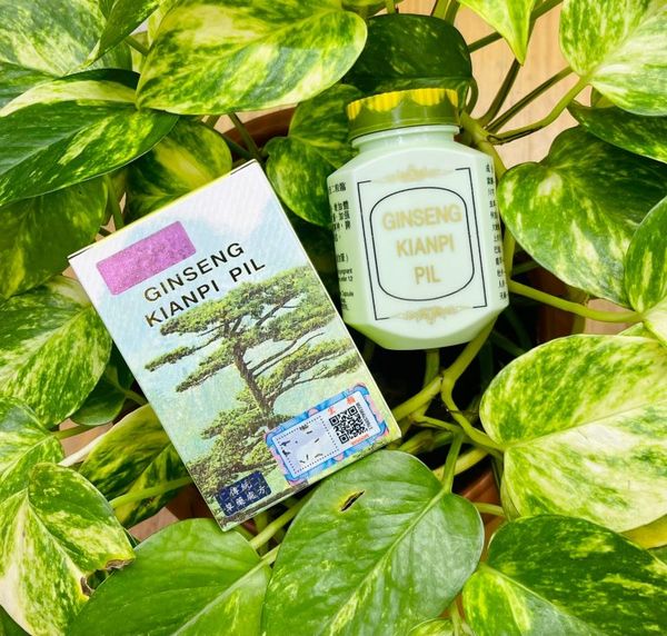 Ginseng KIANPI Pills – Herbal Appetite & Weight Support - Image 2