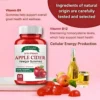 Fitgum Extra Strength Apple Cider Vinegar Gummies – 60 Organic Gummies - Image 7