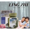Ginseng Lin-Zi Gejie – 30 Capsules | Herbal Supplement for Energy, Immunity & Vitali - Image 3